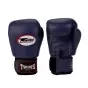TWINS SPECIAL PURPLE BOXING GLOVES