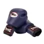 TWINS SPECIAL PURPLE BOXING GLOVES
