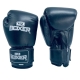 NZ BOXER YOUTH GLOVE