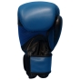 CORE BOXING GLOVES (BLUE)