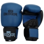 CORE BOXING GLOVES (BLUE)