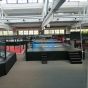 Pro training boxing ring