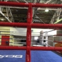 BOXING RING 5m x 5m x 1m