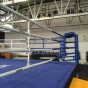 Boxing Ring Custom size