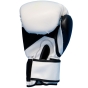 CORE BOXING GLOVES (WHITE)